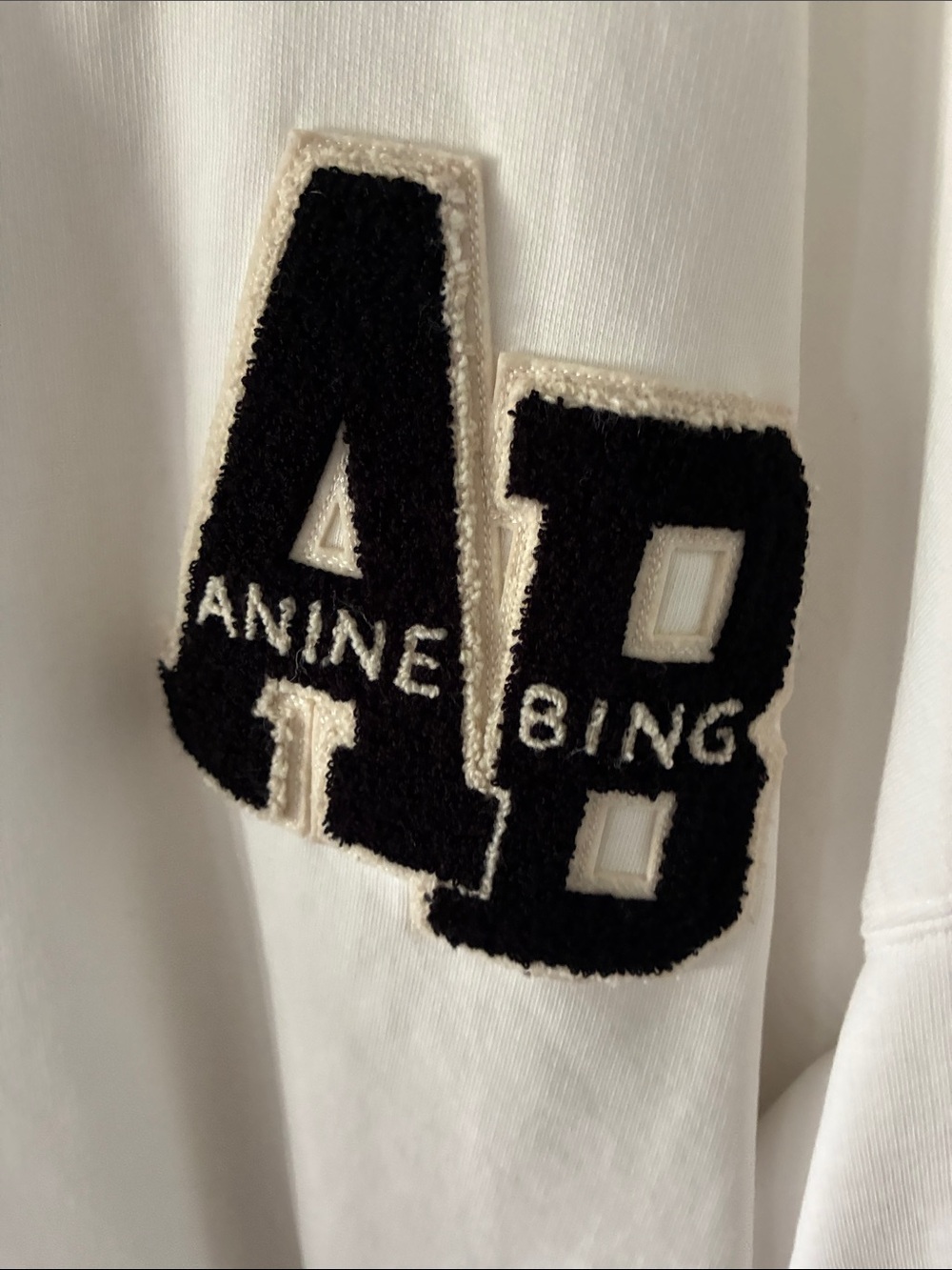 Anine Bing Miles Sweatshirt - Picture 3 of 5